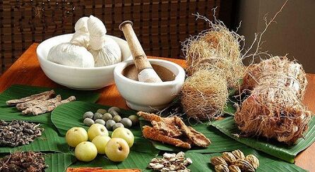 National Medicines against Parasites in the Body