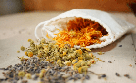 deworming herbs in adults