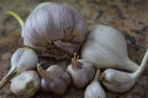 garlic against parasites in the human body